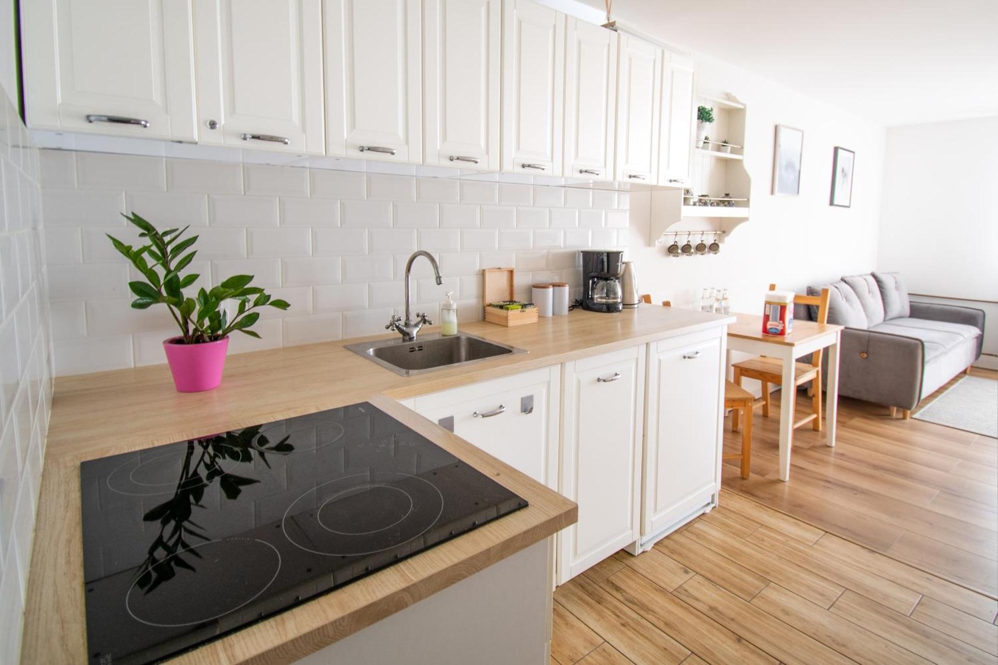 Apartament Przy Zdrojowej Ciechocinek Eksteriør billede